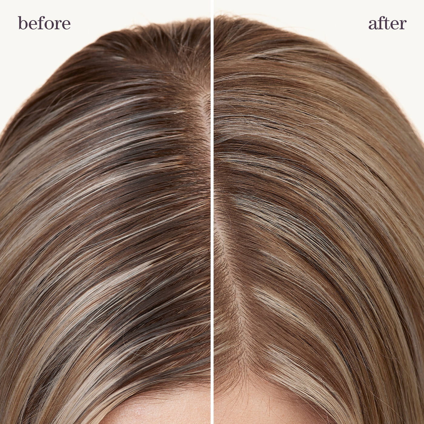 PUREOLOGY Style + Protect Refresh & Go Dry Shampoo