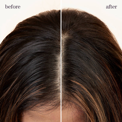 PUREOLOGY Style + Protect Refresh & Go Dry Shampoo